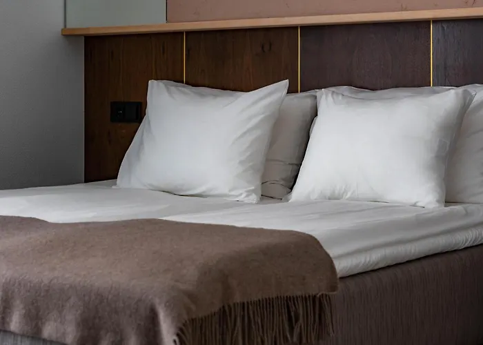 酒店 & Spaa 纳尔瓦